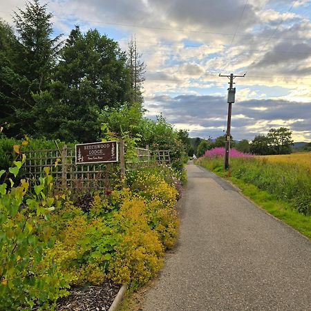 Beechwood Lodge Guesthouse Alness Exteriör bild