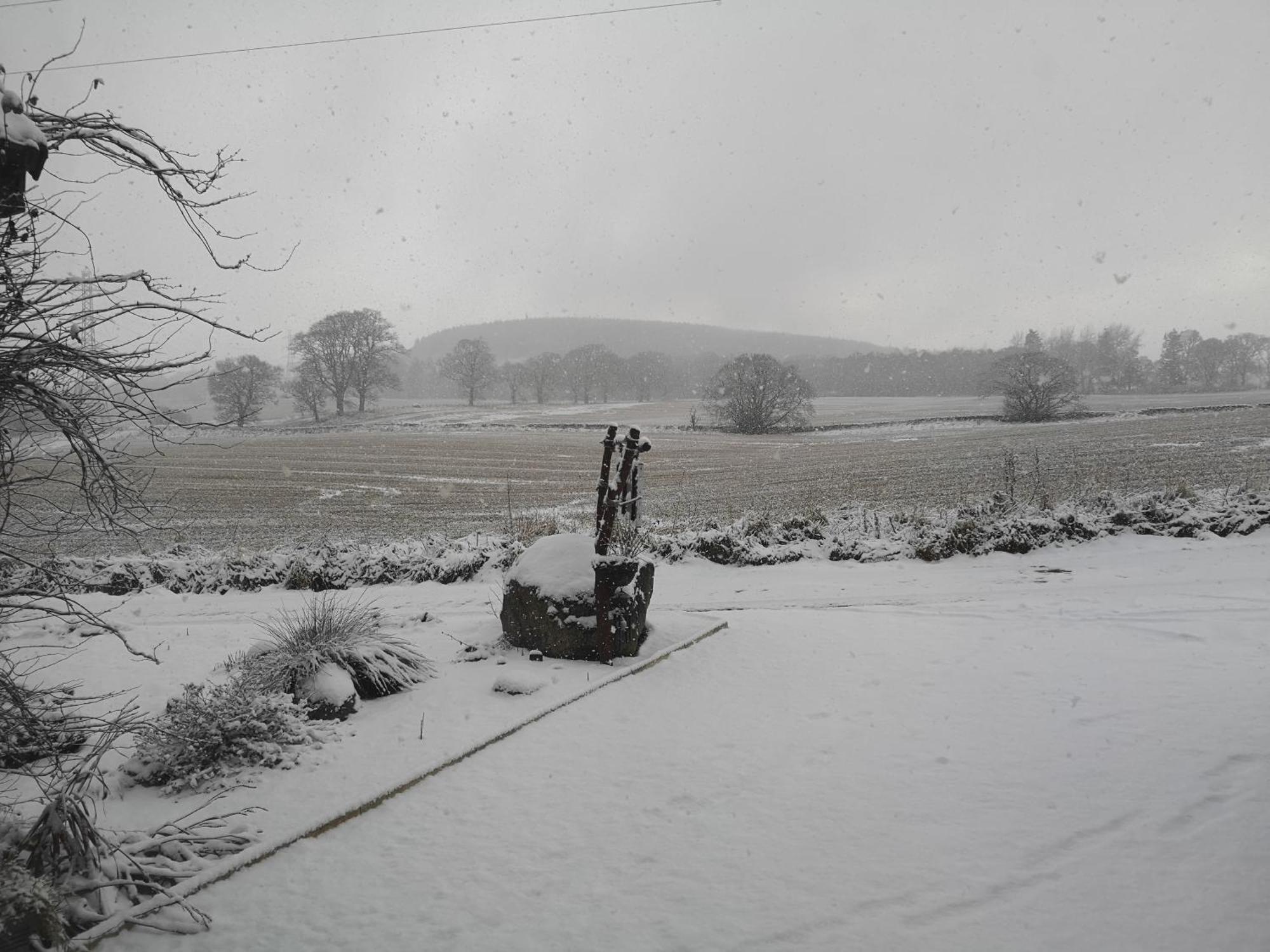 Beechwood Lodge Guesthouse Alness Exteriör bild