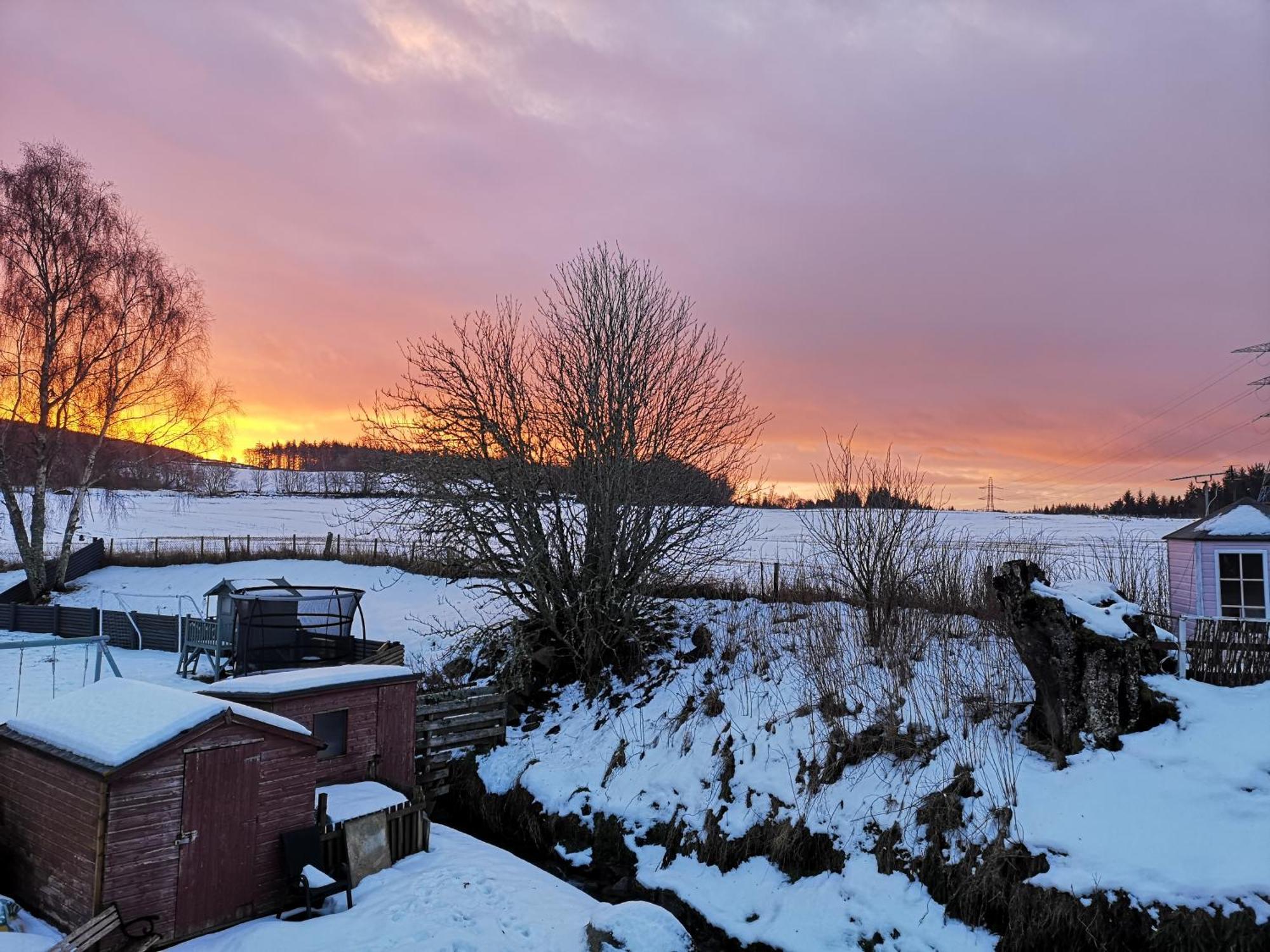 Beechwood Lodge Guesthouse Alness Exteriör bild