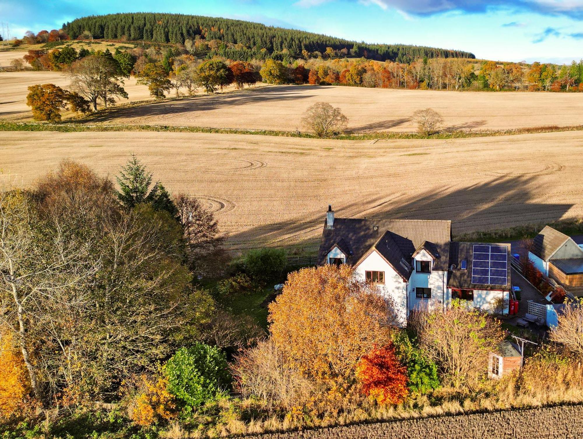 Beechwood Lodge Guesthouse Alness Exteriör bild