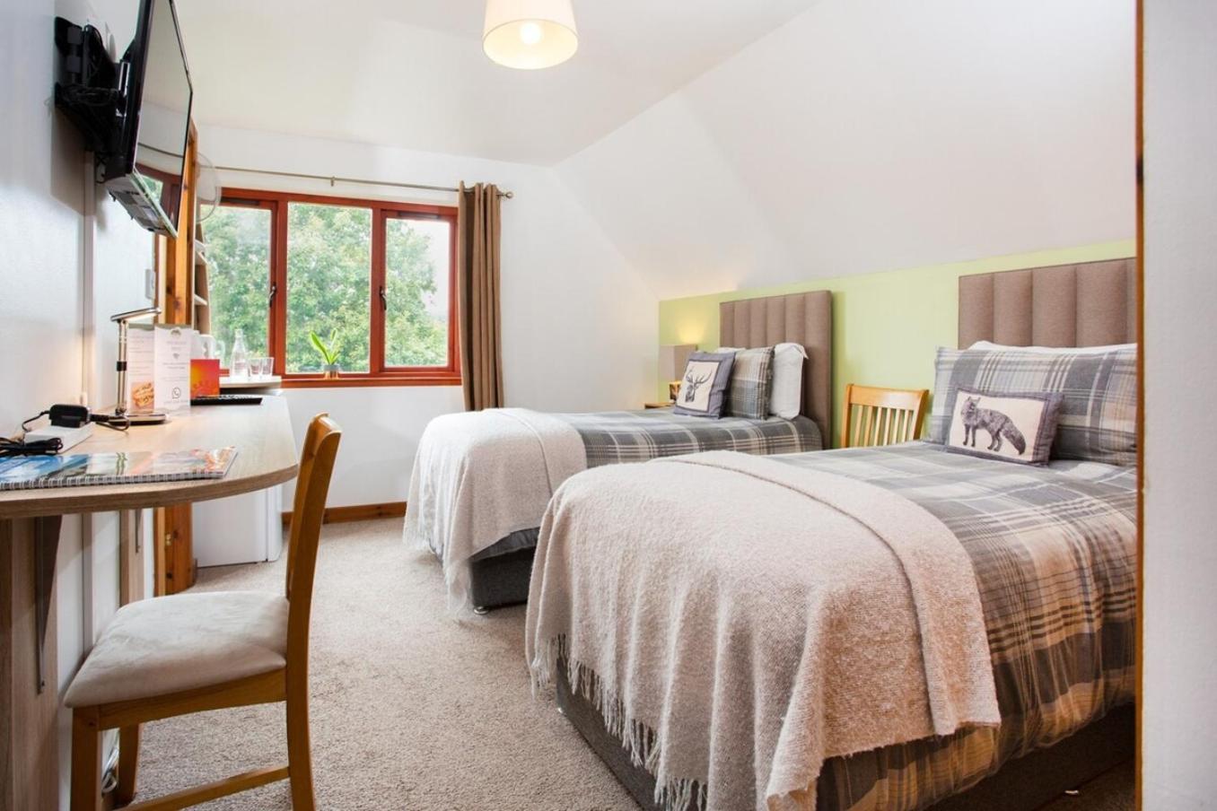 Beechwood Lodge Guesthouse Alness Exteriör bild