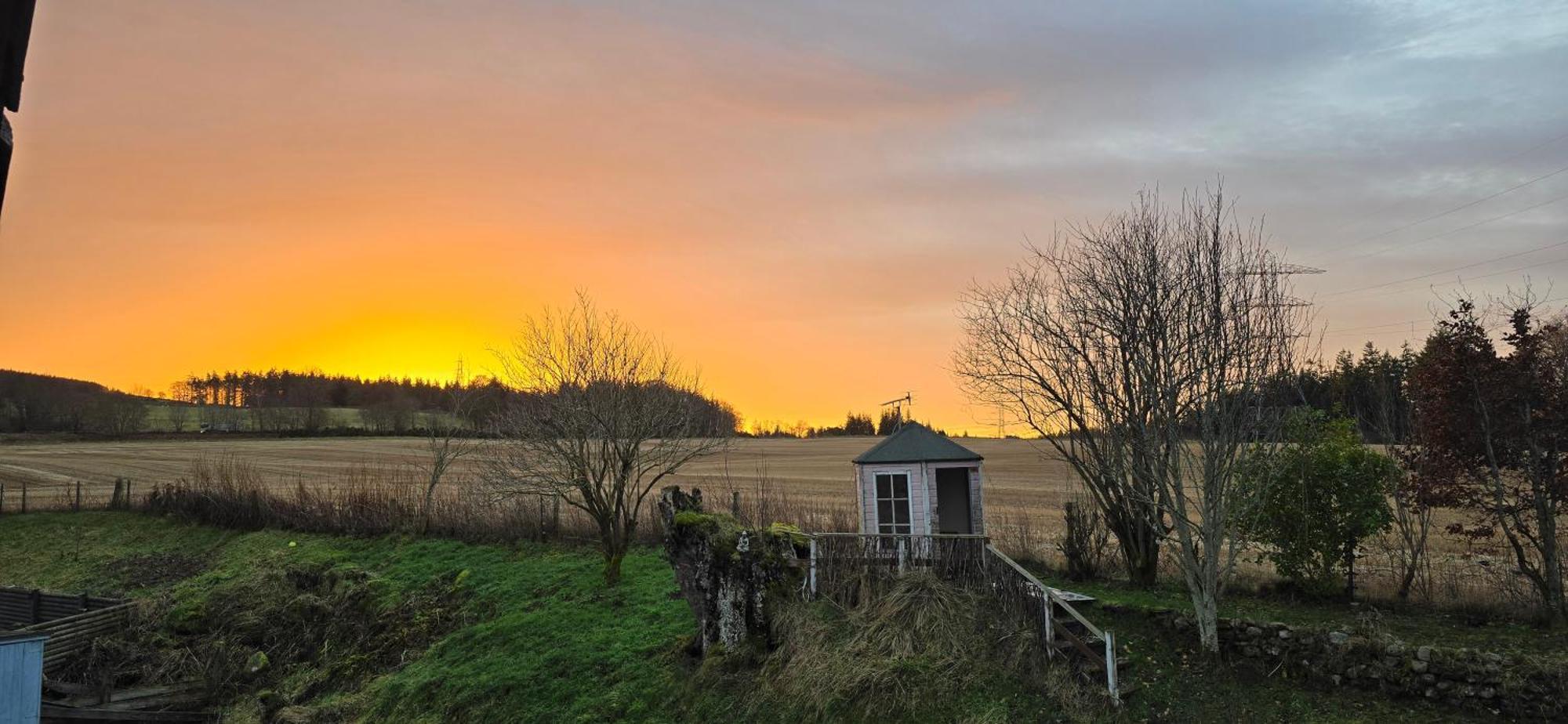 Beechwood Lodge Guesthouse Alness Exteriör bild