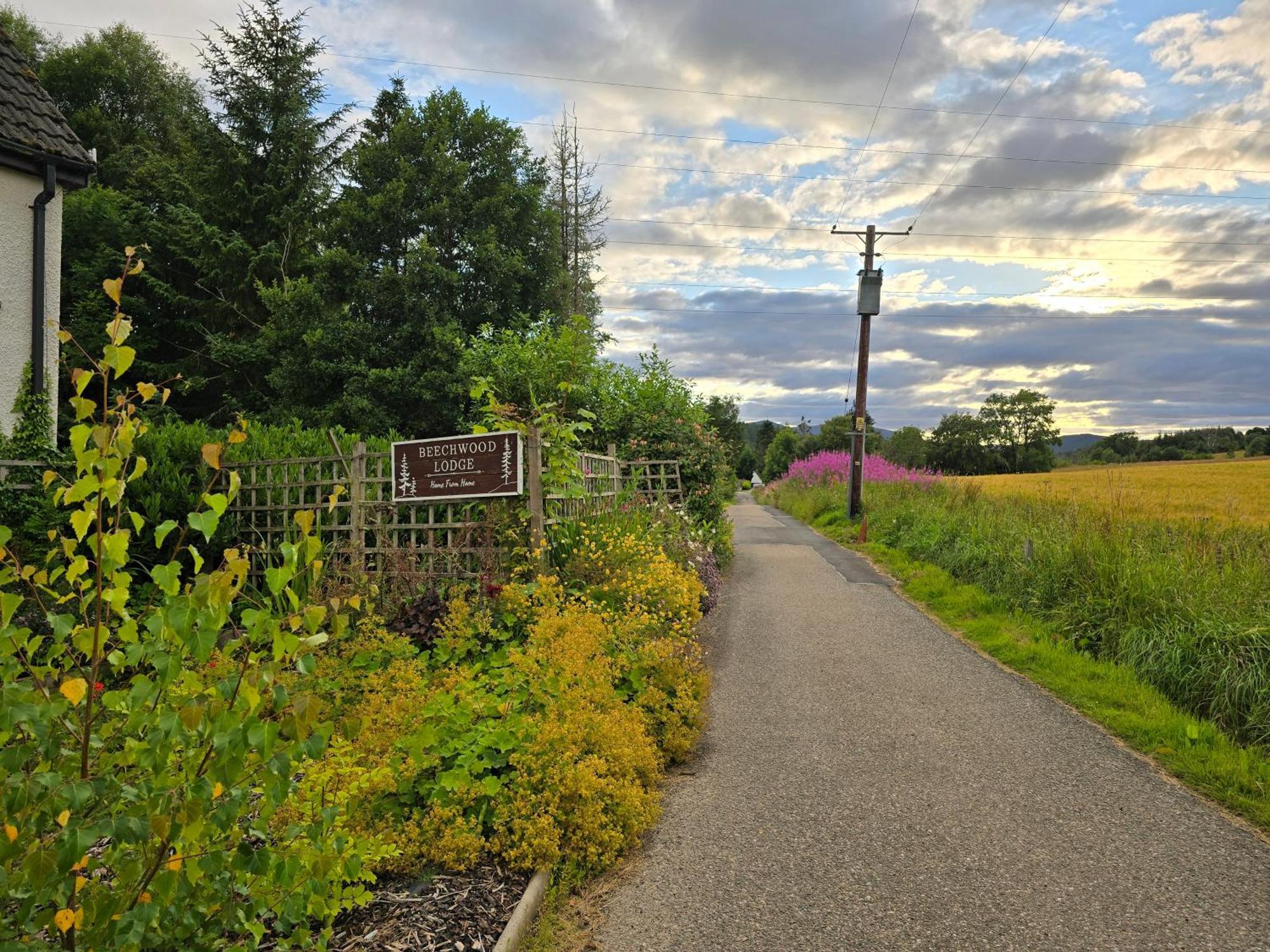 Beechwood Lodge Guesthouse Alness Exteriör bild